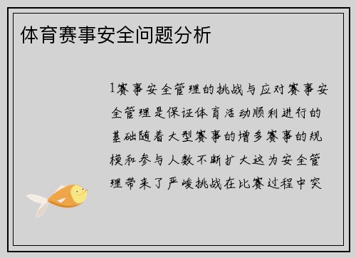 体育赛事安全问题分析